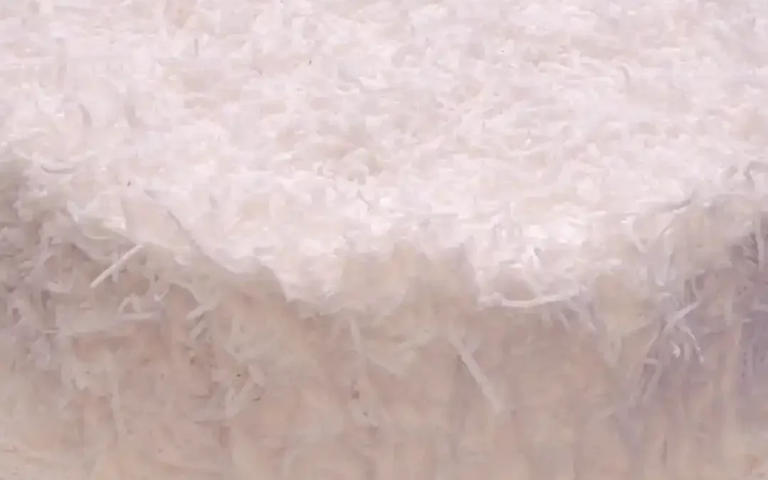 Ponqué de Batido Blanco con Ralladura de Coco